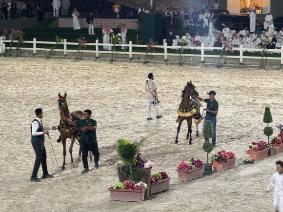 محافظ جدة يتوّج الفائزين ببطولة منطقة مكة المكرمة الدولية لجمال الجواد العربي